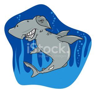 Hammerhead Shark Stock Clipart | Royalty-Free | FreeImages