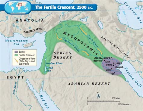 Civilizations Timeline | Preceden