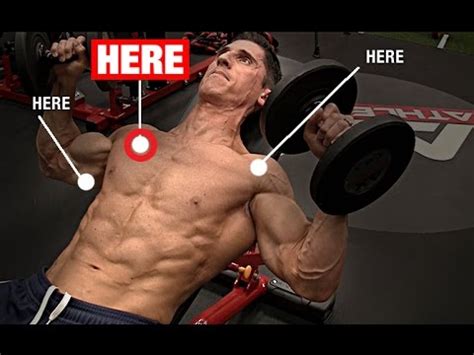 Dumbbell Bench Press (BETTER CHEST ACTIVATION!) - YouTube