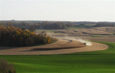 Autumn colors in rural Minnesota | Minnesota Public Radio News