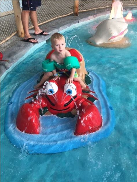 All ages enjoy the new Cape Codder waterpark #capecodderwaterpark | Indoor waterpark, Water park ...