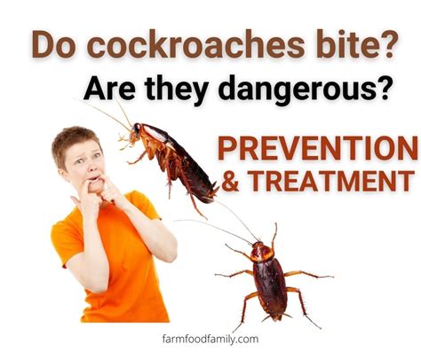 Do Roaches Bite Humans and Pets? (Signs, Prevention, and Treament)