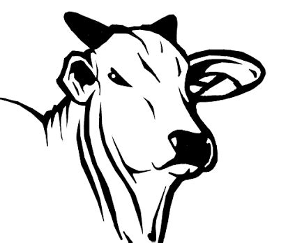 desenhos de bois nelore - Pesquisa Google | Cow illustration, Animal ...