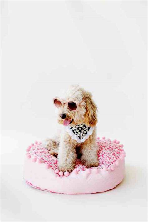 Simple DIY Dog Bed Tutorial + 5 Free Dog Bed Sewing Patterns