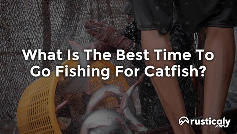 What Is The Best Time To Go Fishing For Catfish?