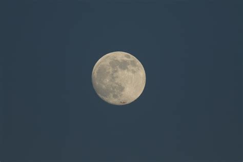 Wolf Moon: You need to see the first Full Moon of 2023 next week