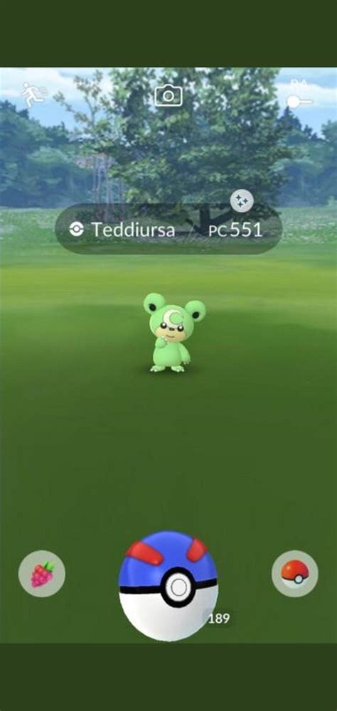 Shiny Teddiursa available : r/TheSilphRoad