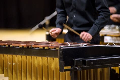 Xylophone Or Mallet Player With Sticks Stock Photo - Download Image Now - iStock