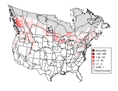 Ruffed Grouse - Breeding Range Map