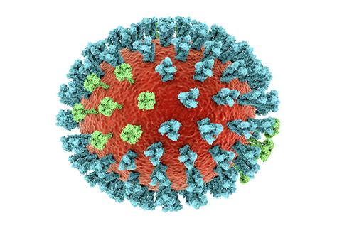 Bird Flu Virus #4 Photograph by Kateryna Kon/science Photo Library - Pixels