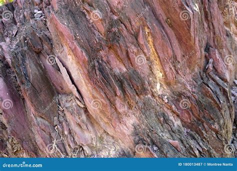 Texture of Shale Rock on Nature Stock Image - Image of fossil, minerals ...