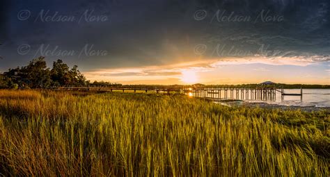 Charleston Low Country Landscapes - Nelson Novo