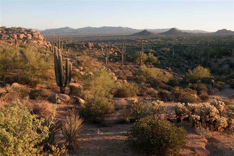 Hiking in Scottsdale: 9 Best Trails