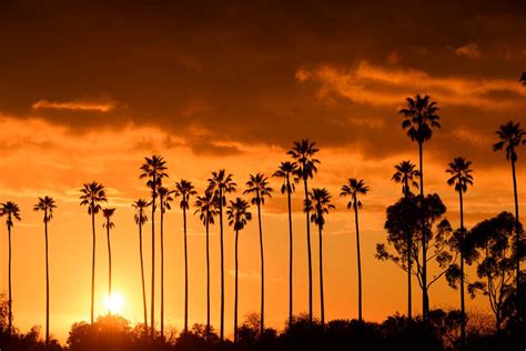 15 Sensational Sunsets in California: Where You Need to Go to Watch the ...