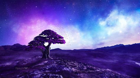 Purple Nature Wallpapers - 4k, HD Purple Nature Backgrounds on WallpaperBat