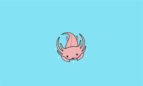 Top 999+ Axolotl Wallpaper Full HD, 4K Free to Use