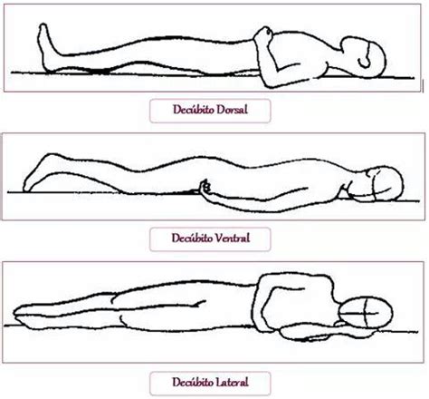 Pin de Jessy la Vaquerita en enfermeria | Anatomia y fisiologia humana, Anatomia y fisiologia ...