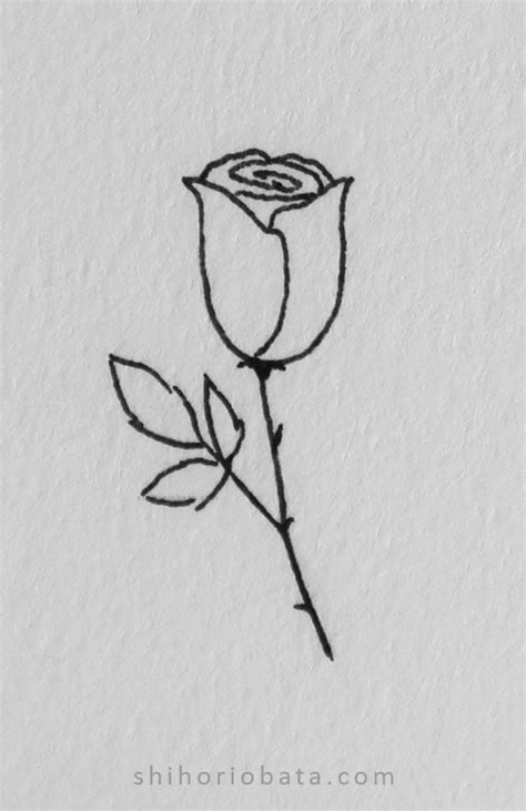 15 Easy Rose Drawing Ideas