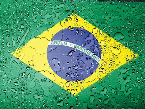 Brazilian Flag Brazilian Vector Symbol Vector, Brazilian, Vector, Symbol PNG and Vector with ...