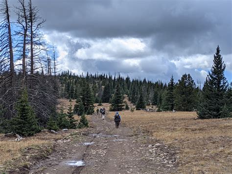 CDT Thru Hike: Colorado Part Two – Heading Roam