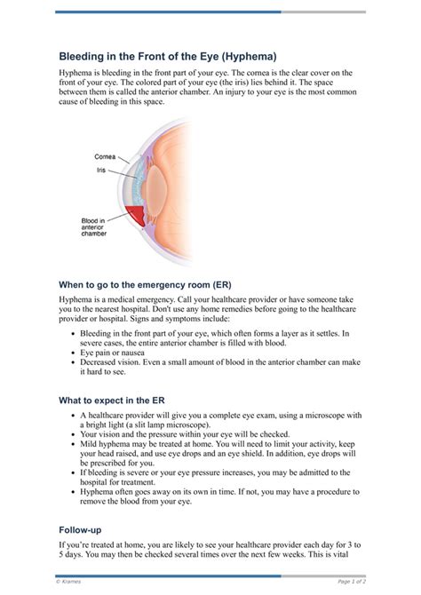 PDF - Bleeding in the Front of the Eye (Hyphema) - HealthClips Online