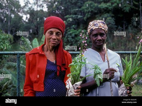 2, two, Jamaicans, Jamaican women, Jamaican, women, adult women Stock ...