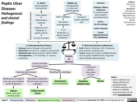 Peptic Ulcer Disease | Calgary Guide