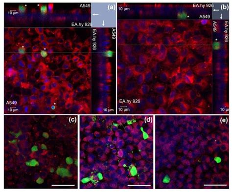 Nanomaterials | An Open Access Journal from MDPI