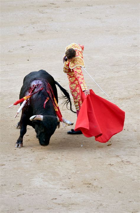 Bullfighting in Madrid