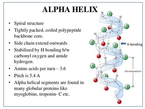 Protein structure: details