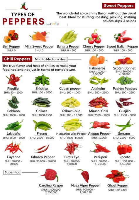 30 Different Types of Peppers From Sweet to Mild, and Truly Hot - Only Foods