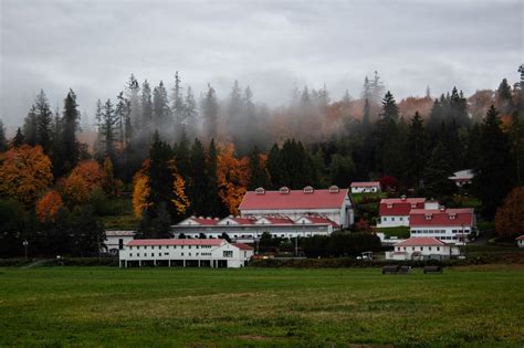 Our Story - Carnation Farms