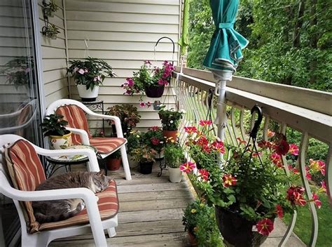 17 Balcony Garden Pictures For Inspiration From Our Readers | Balcony Garden Web