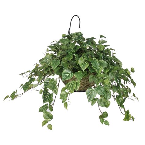 Artificial Pothos Hanging Basket – House of Silk Flowers®