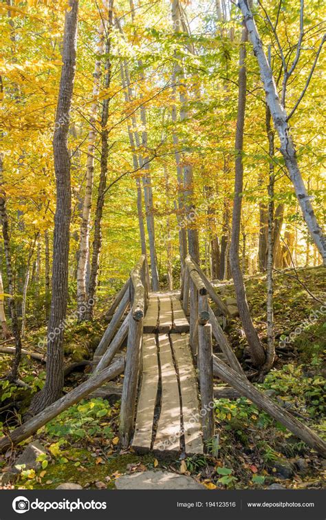 Beautiful Fall Colors Acadia National Park Maine Usa — Stock Photo ...