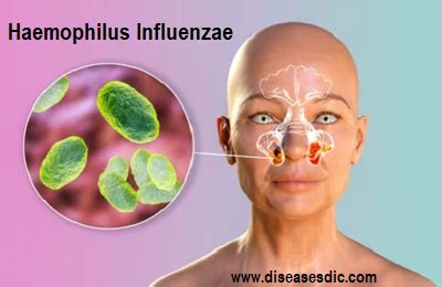 Haemophilus Influenzae – Diagnosis and Prevention