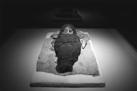 Mummies are showstoppers in inaugural U.S. exhibit | News, Sports, Jobs ...