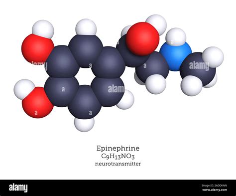 Epinephrine, also called adrenaline is both a hormone produced by the adrenal glands and a ...