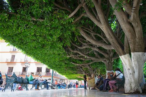 Jardin De La Union Guanajuato City Mexico Editorial Photo - Image of mexico, people: 84013366
