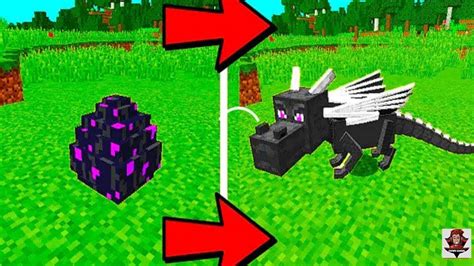 How To Hatch The Ender Dragon Egg Pc