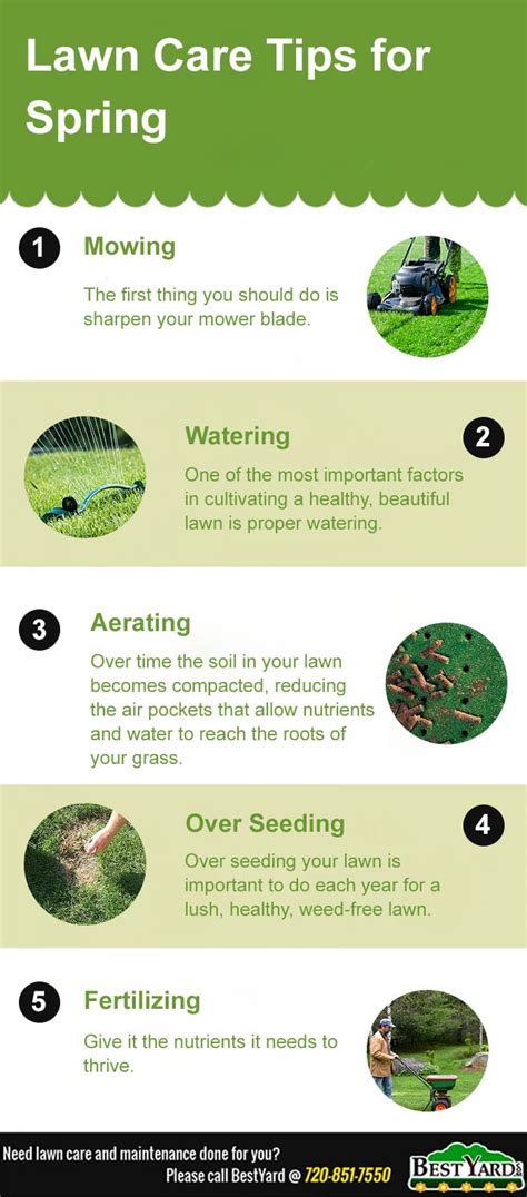 Lawn Care Tips For This Spring - BestYard.com