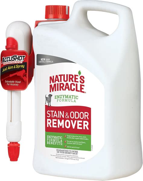 Best remove cat urine smell from carpet vinegar - Kitchen Smarter