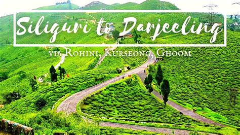 Siliguri To Darjeeling Via Rohini, Kurseong, Ghoom | NJP to Darjeeling ...