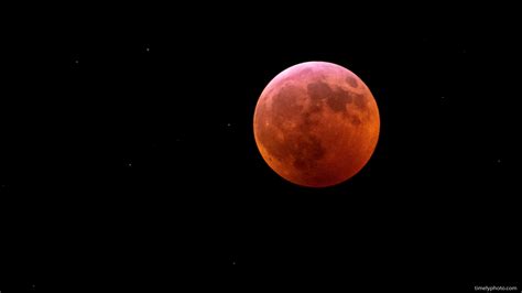 Blood Moon Eclipse — Timely Photo