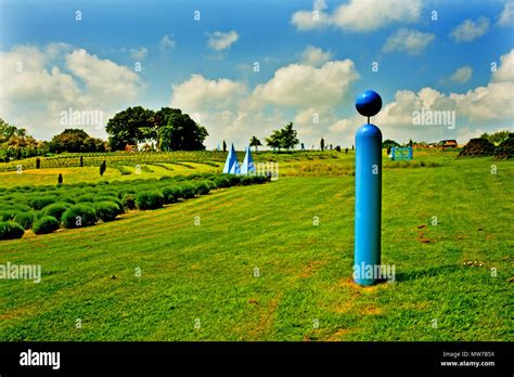 Yorkshire Lavender centre, Terrington, North Yorkshire, England Stock Photo - Alamy