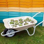 8 Wheelbarrow Planter Ideas