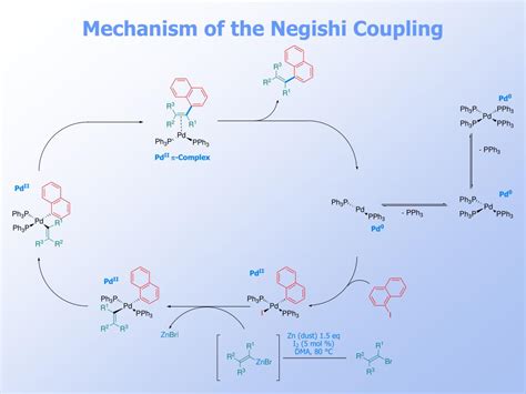 PPT - Paladium Catalysed Transformations in Organic Synthesis PowerPoint Presentation - ID:1234208