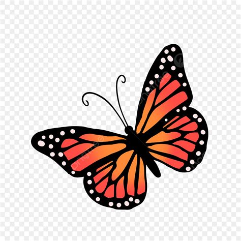 Mariposa Monarca Imágenes Prediseñadas Estilo De Dibujos Animados PNG ...