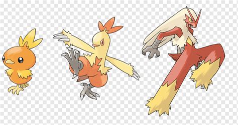 Pokemon Combusken Evolution