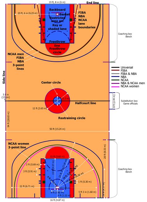 In this image you can see a basketball court with their parts ...